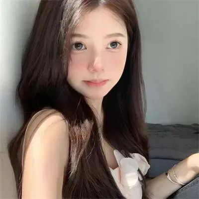 五香宫的猫
