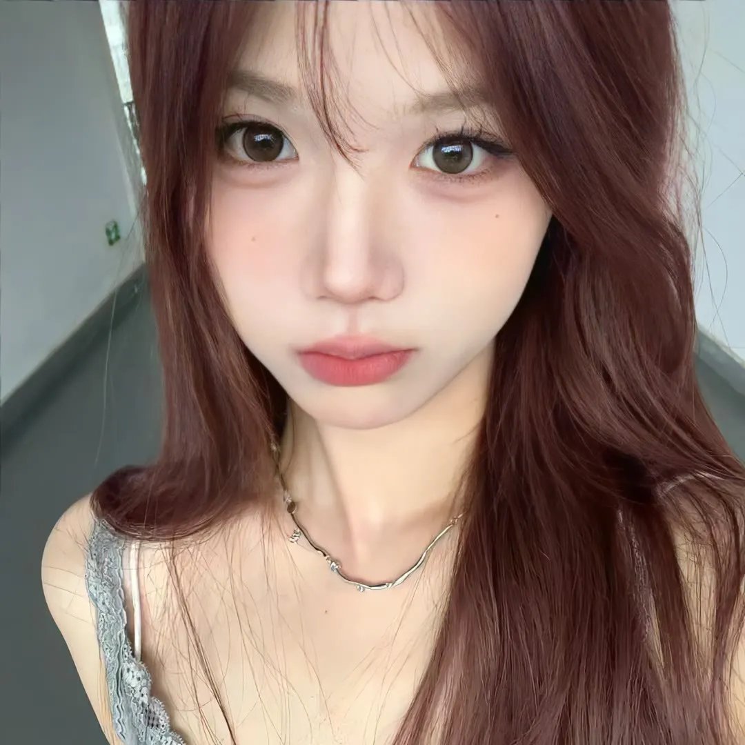 翼龙